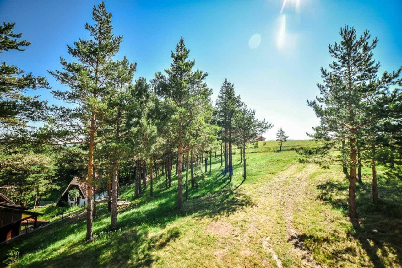 Ng Apartmani Tornik Zlatibor Exterior photo