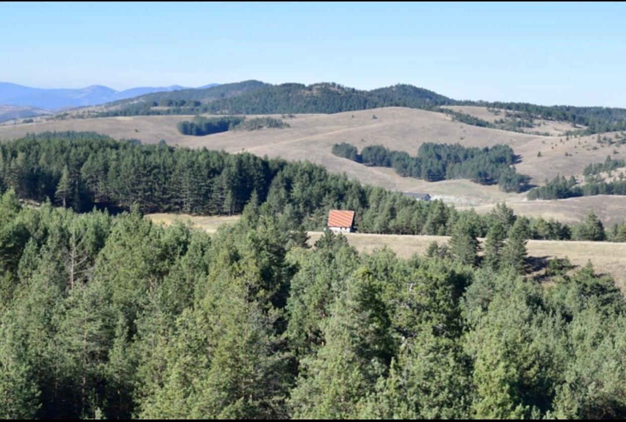 Ng Apartmani Tornik Zlatibor Exterior photo